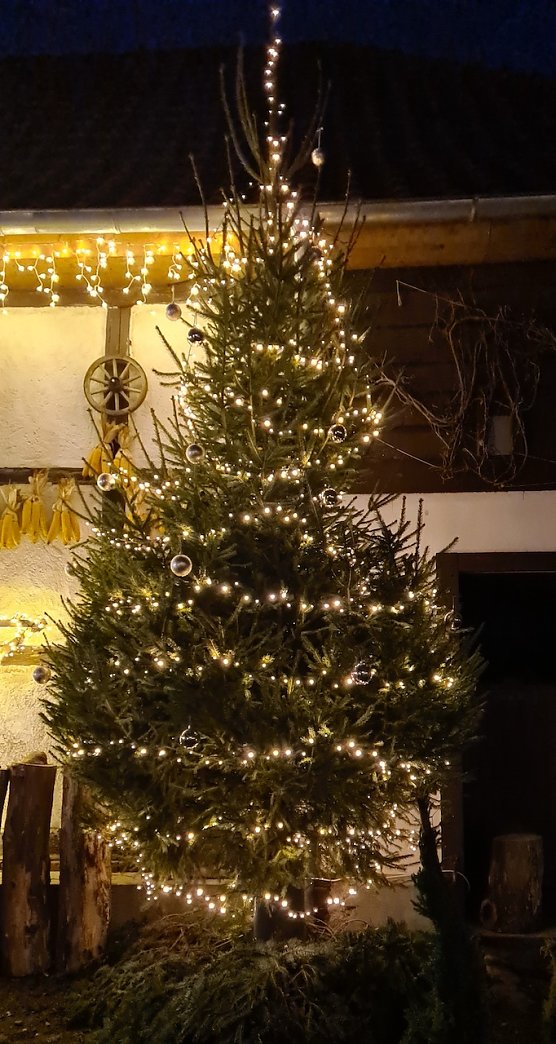 Bild: Lichterglanz am Tannenbaum - Advent in den H&ouml;fen in Neustadt/Harz