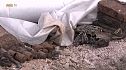 Munition gefunden (Foto: nnz) Munition gefunden (Foto: nnz)