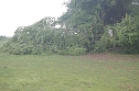 Sturm verursacht Sch&auml;den (Foto: H. Michel)