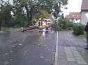Unwetter in Bleicherode (Foto: privat) Unwetter in Bleicherode (Foto: privat)