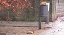 Böllerabfall auf den Straßen (Foto: nnz) Böllerabfall auf den Straßen (Foto: nnz)