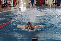 10. Stadtmeisterschaften im Schwimmen (Foto: privat)