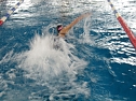 10. Stadtmeisterschaften im Schwimmen (Foto: privat)