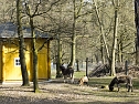 Unterwegs im Park (Foto: Karsten Thorhauer)