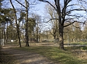Unterwegs im Park (Foto: Karsten Thorhauer)