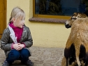 Besuch im Zoo (Foto: Blitzlicht-Nordhausen.de) Besuch im Zoo (Foto: Blitzlicht-Nordhausen.de)