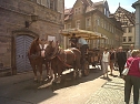 Unterwegs in uns um Bamberg (Foto: G. Sch&uuml;tze)