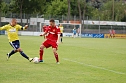 1:0 gegen Halberstadt (Foto: Olaf Dobrzykowsky) 1:0 gegen Halberstadt (Foto: Olaf Dobrzykowsky)