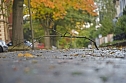 Herbst (Foto: Michael Caspari (blitzlicht-nordhausen.de))