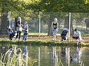 Goldener Herbst im Nordh&auml;user Stadtpark (Foto: Karsten Thorhauer)