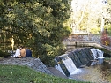 Goldener Herbst im Nordh&auml;user Stadtpark (Foto: Karsten Thorhauer)