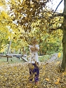 Goldener Herbst im Nordh&auml;user Stadtpark (Foto: Karsten Thorhauer)
