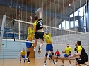Erneuter Triumpf für Nordhäuser Volleyballer (Foto: privat) Erneuter Triumpf für Nordhäuser Volleyballer (Foto: privat)