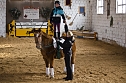 Reiten als Therapie (Foto: Michael Caspari (blitzlicht-nordhausen.de))