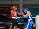 NSV ist deutscher Box-Vizemeister (Foto: Karsten Thorhauer)