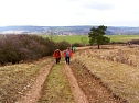 Wanderung in den Fr&uuml;hling (Foto: privat/Harzklub Auleben)