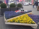 Autofr&uuml;hling in Erfurt (Foto: Peter Blei)