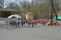 Crosslauf im Gehege (Foto: nnz-City Scout Sven G&auml;mkow)
