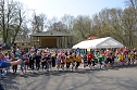 Crosslauf im Gehege (Foto: nnz-City Scout Sven G&auml;mkow)