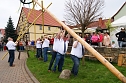 Maibaum in Obergebra gesetzt (Foto: Michael Randel)