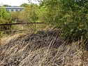 Brand an der Darre (Foto: privat) Brand an der Darre (Foto: privat)