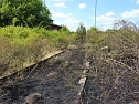 Brand an der Darre (Foto: privat) Brand an der Darre (Foto: privat)