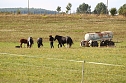 Besuch auf der Forst-Farm (Foto: nnz) Besuch auf der Forst-Farm (Foto: nnz)