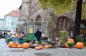 K&uuml;rbismarkt (Foto: nnz-City Scout Sven G&auml;mkow)