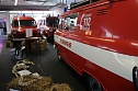 W&ouml;nnmanns Feuerwehr-Reich (Foto: nnz)