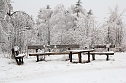 Der Oberharz am Brocken (Foto: Karin Lehmann, Peter Blei)