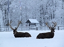 Der Oberharz am Brocken (Foto: Karin Lehmann, Peter Blei)