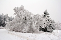 Der Oberharz am Brocken (Foto: Karin Lehmann, Peter Blei)