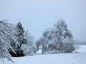 Der Oberharz am Brocken (Foto: Karin Lehmann, Peter Blei)