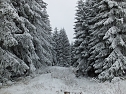 Der Oberharz am Brocken (Foto: Karin Lehmann, Peter Blei)