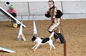 Hundesport und Faschingskostüm (Foto: nnz) Hundesport und Faschingskostüm (Foto: nnz)