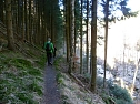 Harzwanderung (Foto: Andreas Richter)