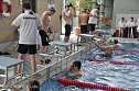 Stadtmeisterschaft in Schwimmen (Foto: nnz-City Scout Sven G&auml;mkow)