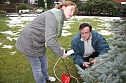 Der Weihnachtsbaum steht (Foto: Seifert)