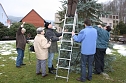 Der Weihnachtsbaum steht (Foto: Seifert)