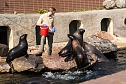Besuch im Leipziger Zoo (Foto: Sven Tetzel)