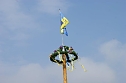 Maibaum in Obergebra gesetzt (Foto: Michael Randel)