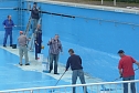 Arbeitseinsatz im Freibad (Foto: privat)