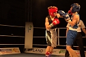 Nordhausen: NSV-Boxer sind klare Sieger gegen Straubing in der Ballspielhalle (Foto: Peter Blei) Nordhausen: NSV-Boxer sind klare Sieger gegen Straubing in der Ballspielhalle (Foto: Peter Blei)