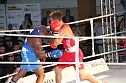 Boxnacht mit einem klaren Sie für den Nordhäuser Sportverein (Foto: St. Iffland) Boxnacht mit einem klaren Sie für den Nordhäuser Sportverein (Foto: St. Iffland)
