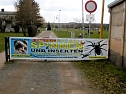 Insekten und mehr in Sundhausen (Foto: Peter Blei)
