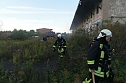 Brand in alter Lagerhalleq (Foto: nnz)