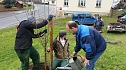 25 B&auml;ume gepflanzt (Foto: Helmut Michel)