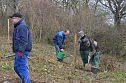 25 B&auml;ume gepflanzt (Foto: Helmut Michel)
