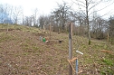 25 B&auml;ume gepflanzt (Foto: Helmut Michel)
