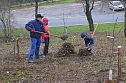 25 B&auml;ume gepflanzt (Foto: Helmut Michel)